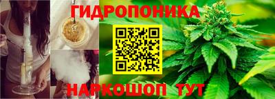 амф Будённовск