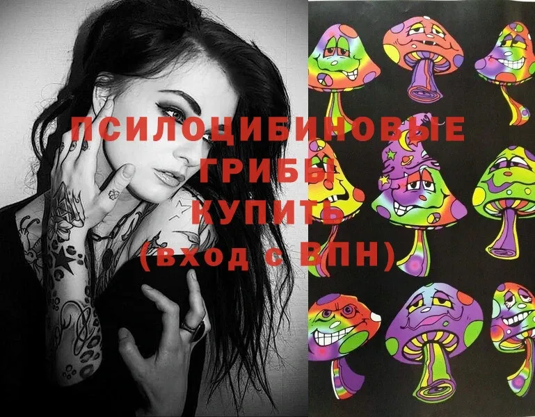 Галлюциногенные грибы MAGIC MUSHROOMS  маркетплейс Telegram  Кандалакша 