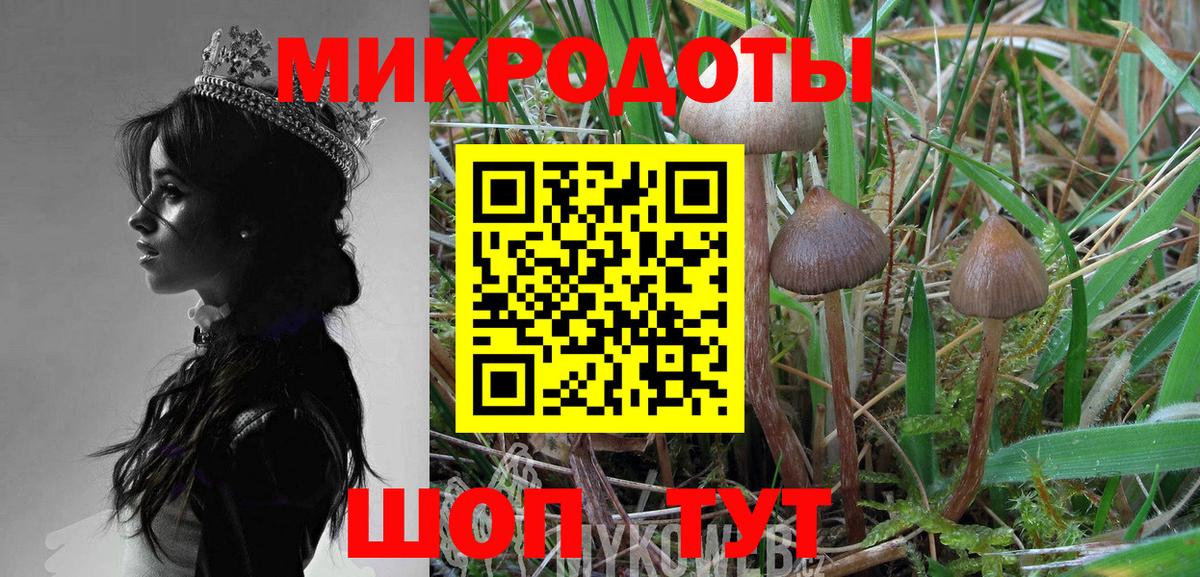 Кандалакша  что такое наркотик  Вход с VPN  Галлюциногенные грибы ЛСД 