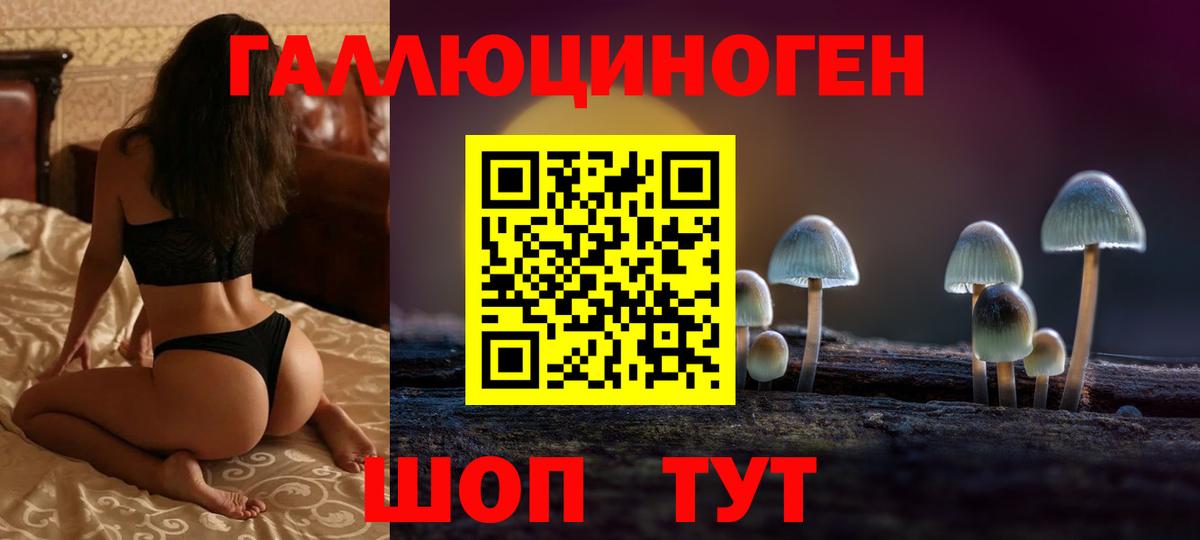 Галлюциногенные грибы ЛСД Кандалакша