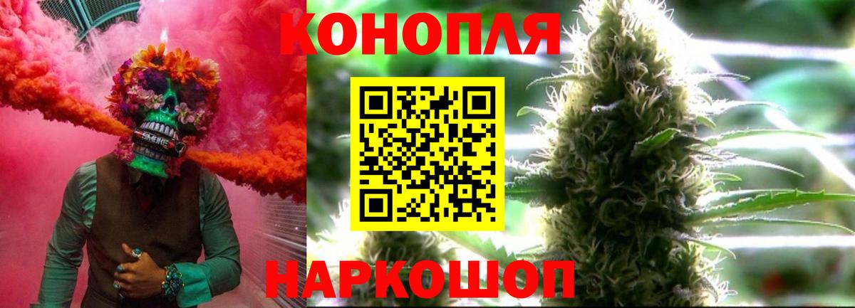 Канабис семена Кандалакша